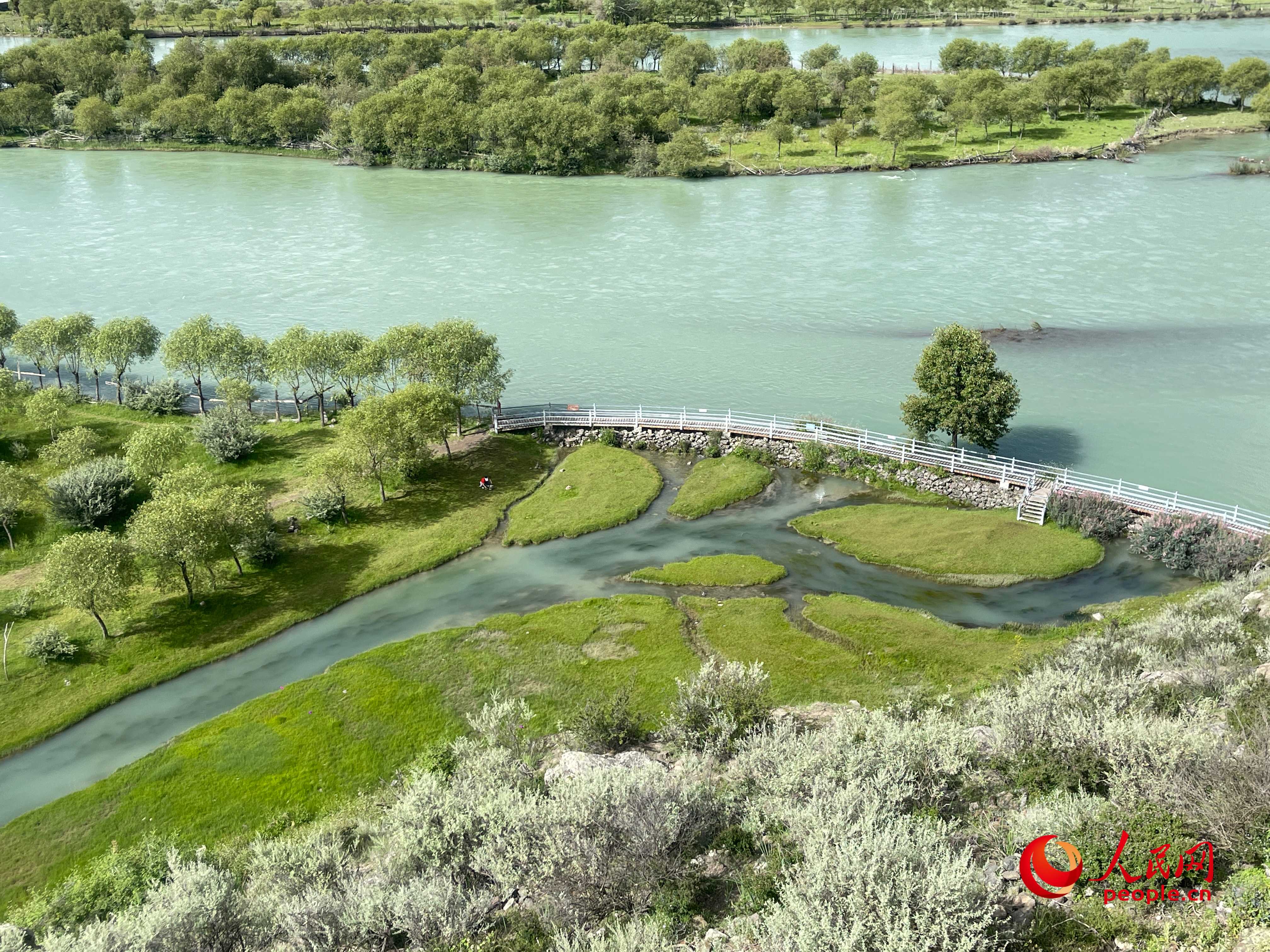 夏日的雅尼國家濕地公園生機(jī)盎然，如詩如畫。人民網(wǎng) 周靜圓攝