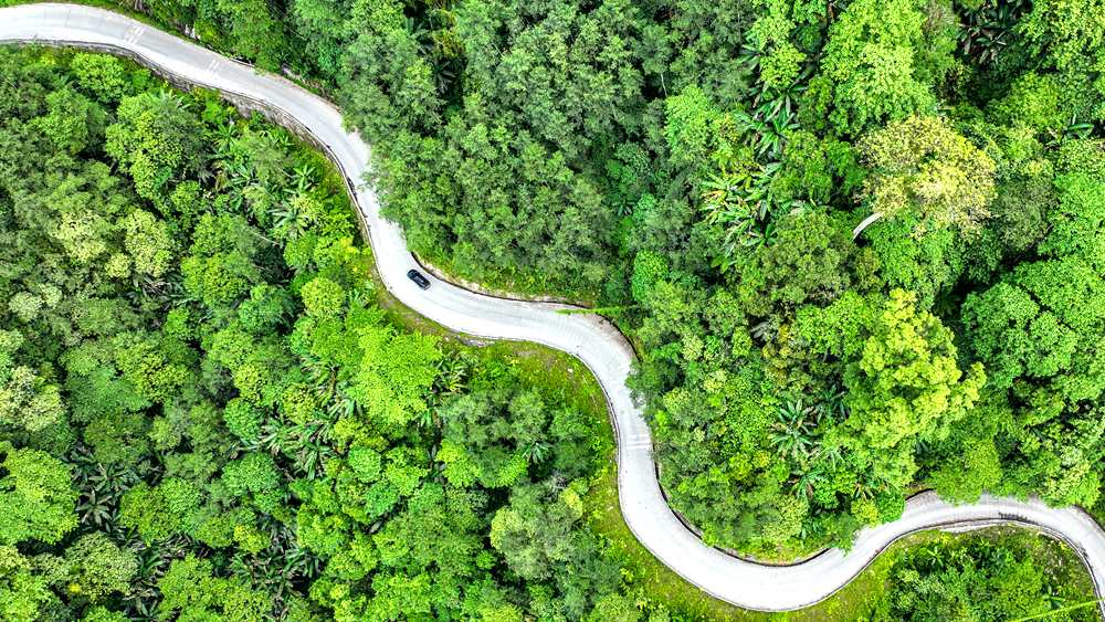 穿行于綠色間，生態(tài)優(yōu)良。張澤坤攝