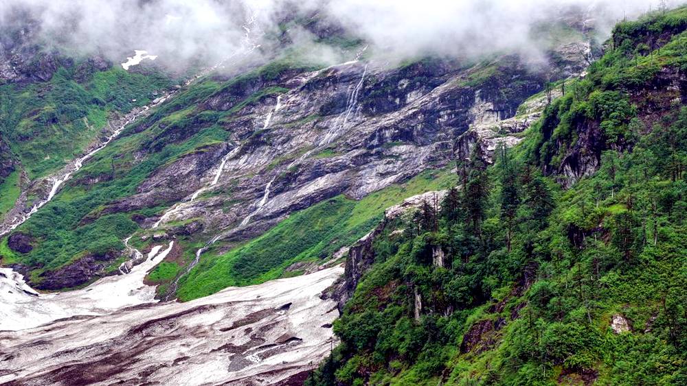 磅礴的河流滋養(yǎng)著山間草木。張澤坤攝