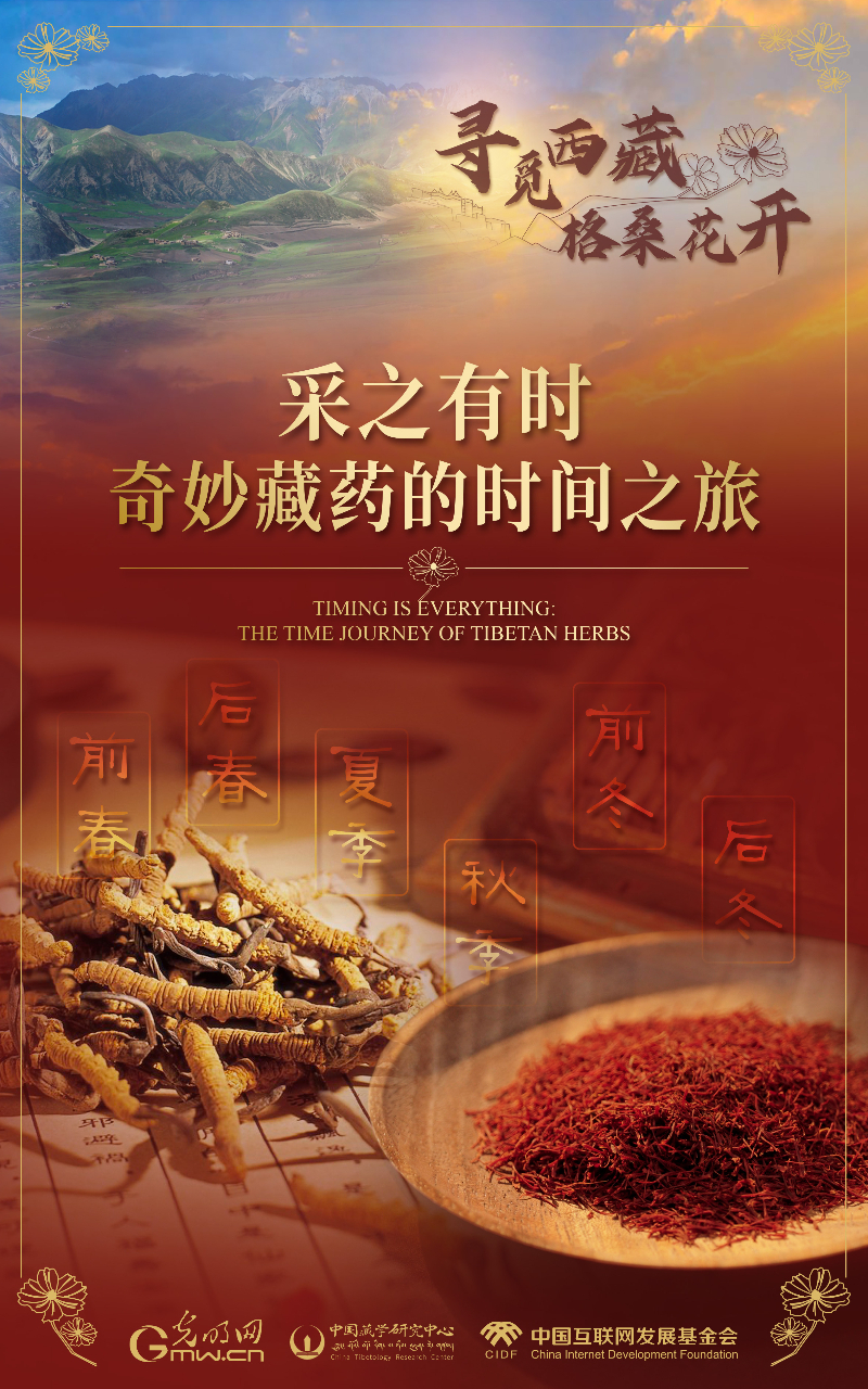 【尋覓西藏·格?；ㄩ_】采之有時：奇妙藏藥的時間之旅
