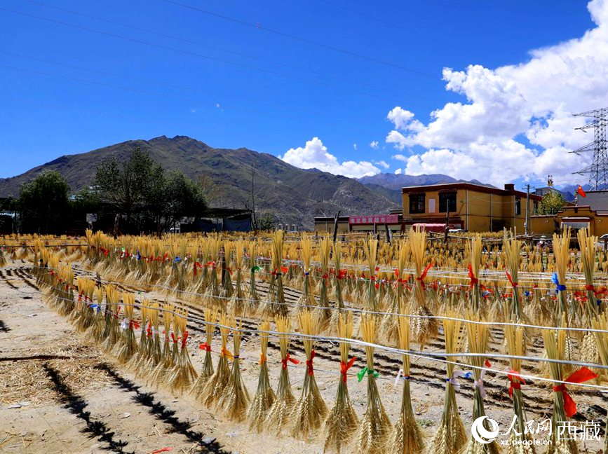 幸福生活曬出來。人民網(wǎng) 李海霞攝