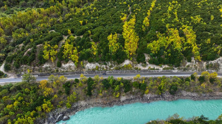 去往墨脫的路上，秋色正明。張澤坤攝