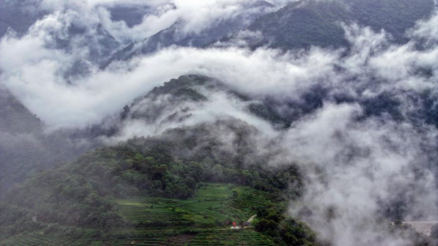 秋日里的墨脫云海。張澤坤攝