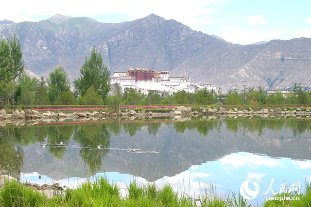 雄偉的布達拉宮與綠意蔥蘢的南山隔河相望。人民網記者 劉凡攝