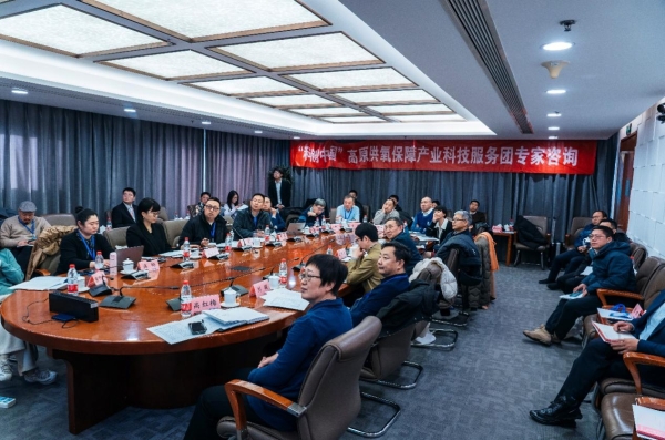 專家把脈西藏氧產(chǎn)業(yè):高原旅游亟需突破“氧瓶頸”