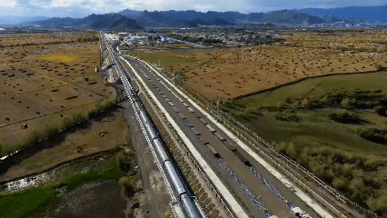 青稞“蛻變”，牦牛“出圈”！看西藏農(nóng)牧民的“十四五”豐收答卷