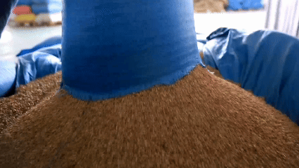 青稞“蛻變”，牦?！俺鋈Α保】次鞑剞r(nóng)牧民的“十四五”豐收答卷