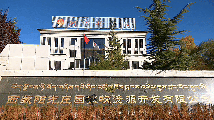 青稞“蛻變”，牦牛“出圈”！看西藏農(nóng)牧民的“十四五”豐收答卷