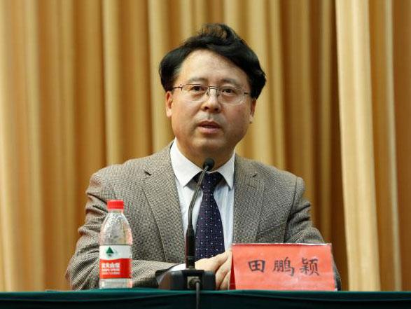 田鵬穎：投入其中、樂(lè)在其中、安身其中