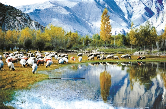 曲水縣郊外的怡人風景。 拉薩日報 平措旺堆攝.jpg