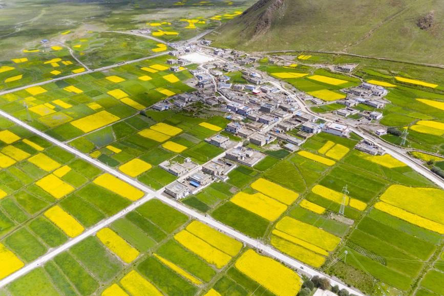 航拍道布龍村，依山傍水，阡陌縱橫。