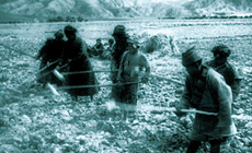 農(nóng)奴被強(qiáng)迫從事無償勞動