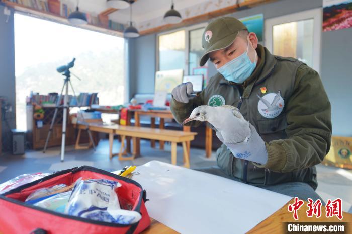 山東青島：志愿者用行動(dòng)呼吁“禁食野味戰(zhàn)勝疫情”