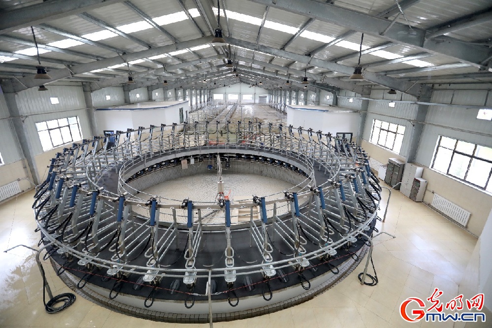 【幸福花開新邊疆】大力發(fā)展西藏隆子縣特色產(chǎn)業(yè) 堅決打贏脫貧攻堅戰(zhàn)