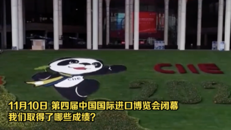 從進(jìn)博會看入世20年 這份成績單請收好！