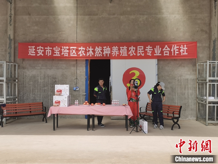 來源：柳林鎮(zhèn)果技園供圖。