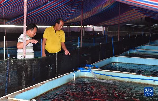 有聲手賬丨【我是一線黨代表 】王書茂：保護好“祖宗海”是這輩子最大的心愿