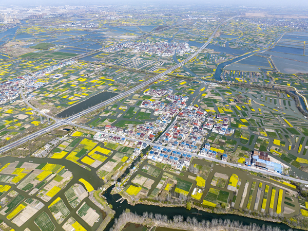 春天里的水鄉(xiāng)興化。周社根攝