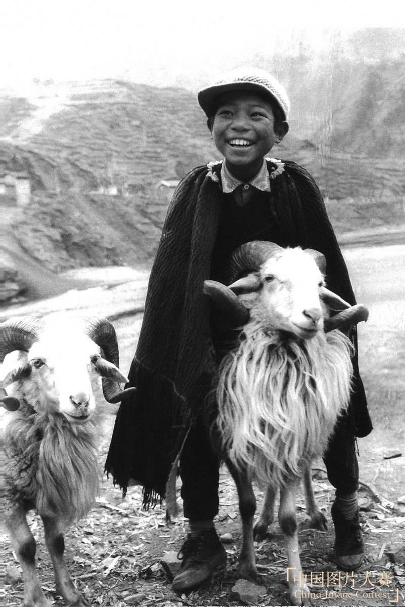 從牧童到書童的喜悅