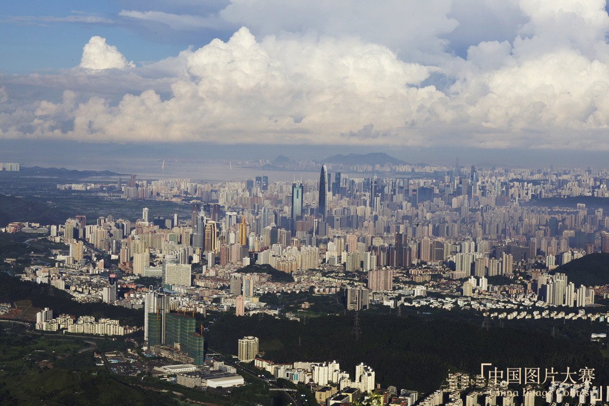 我的深圳攝影日記